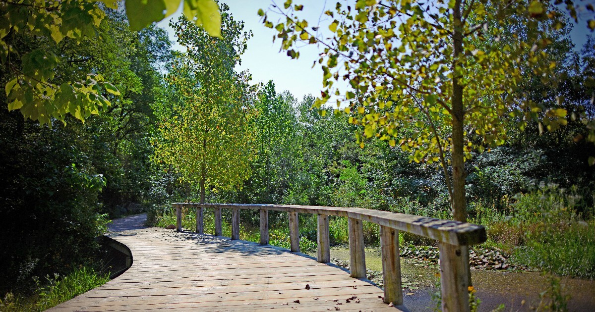 495653420 1094180816070626 1088522585281646731 n