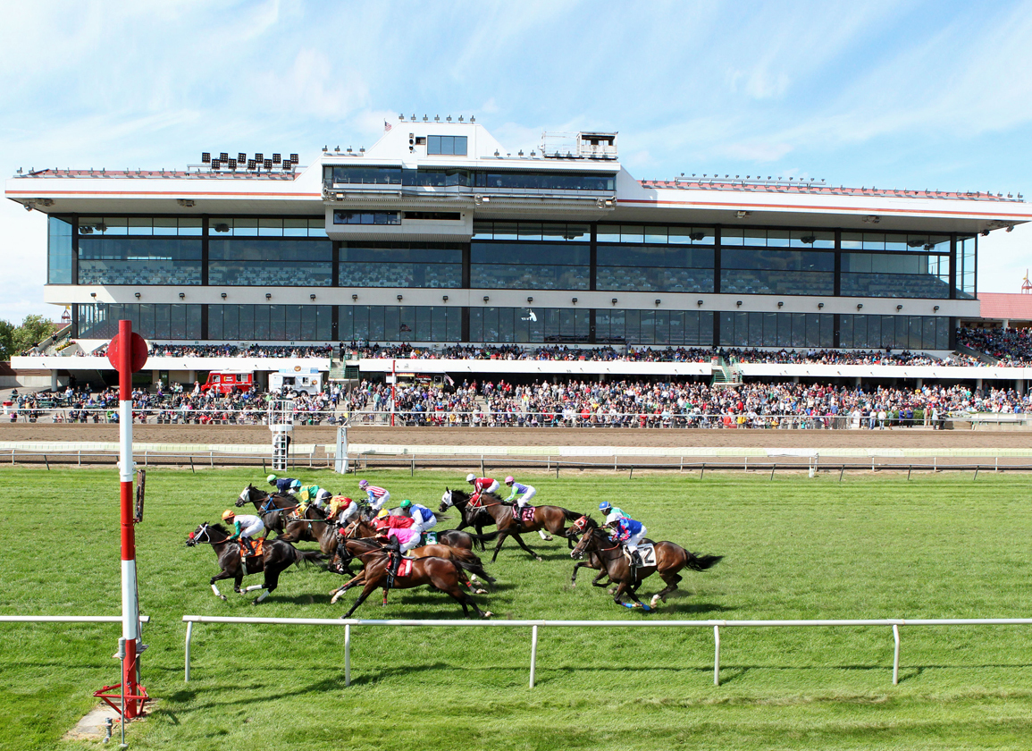 Canterbury Park Tote Board Crowd Action Coady