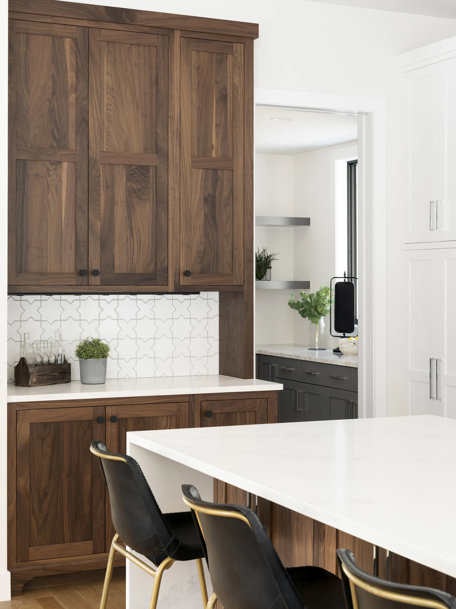 2071 Austrian Pine 029 3