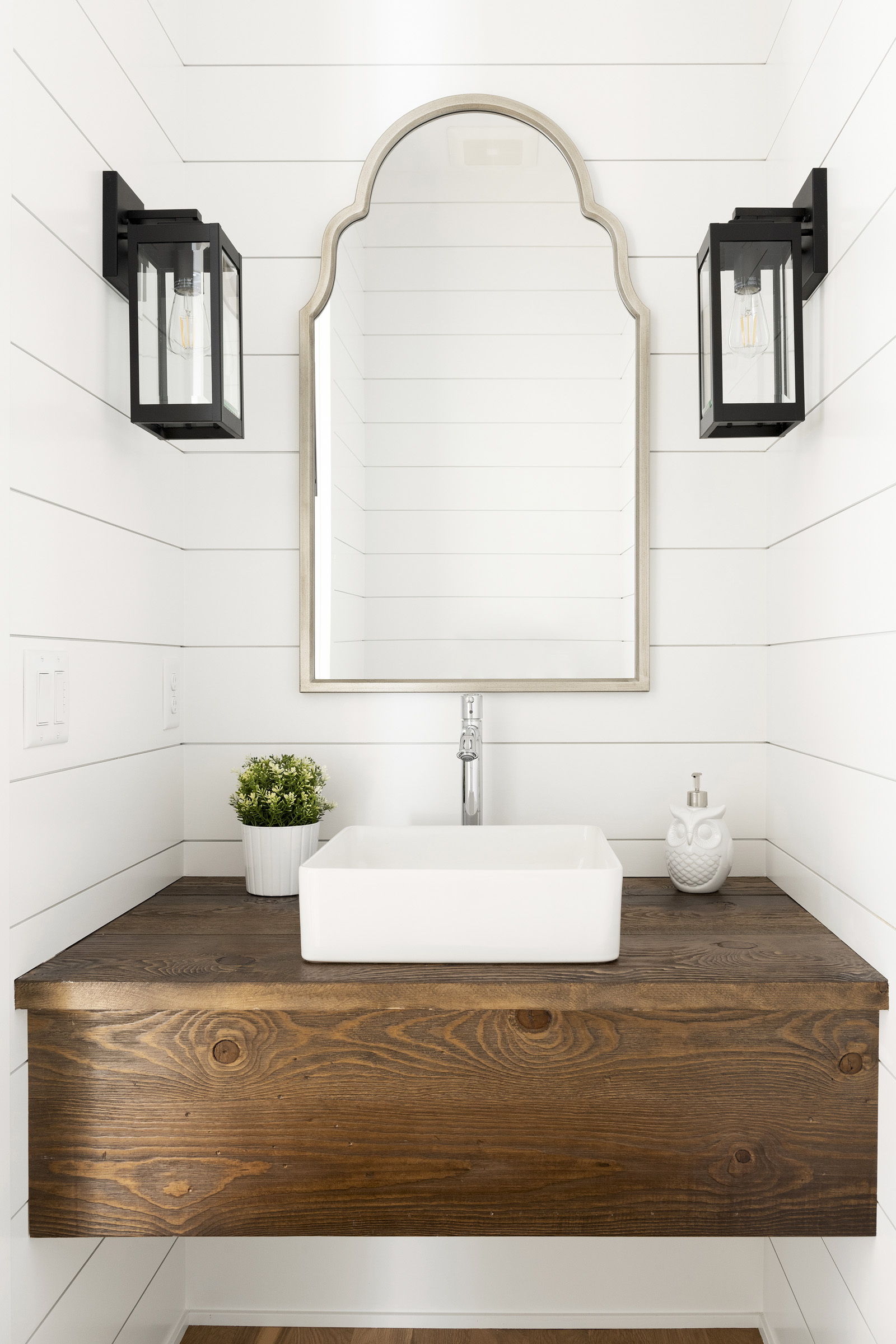 2071 Austrian Pine 031