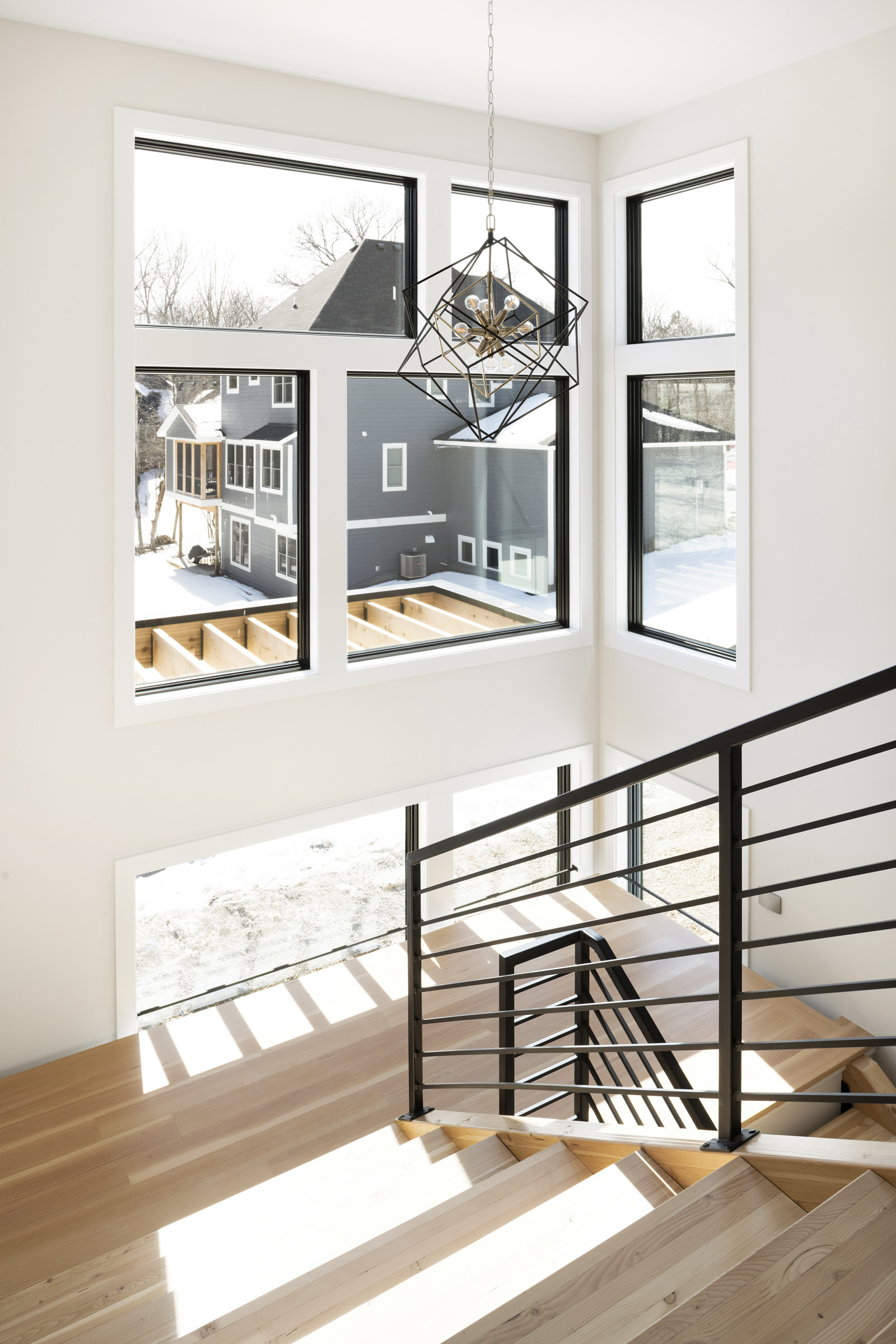 2071 Austrian Pine 034 2