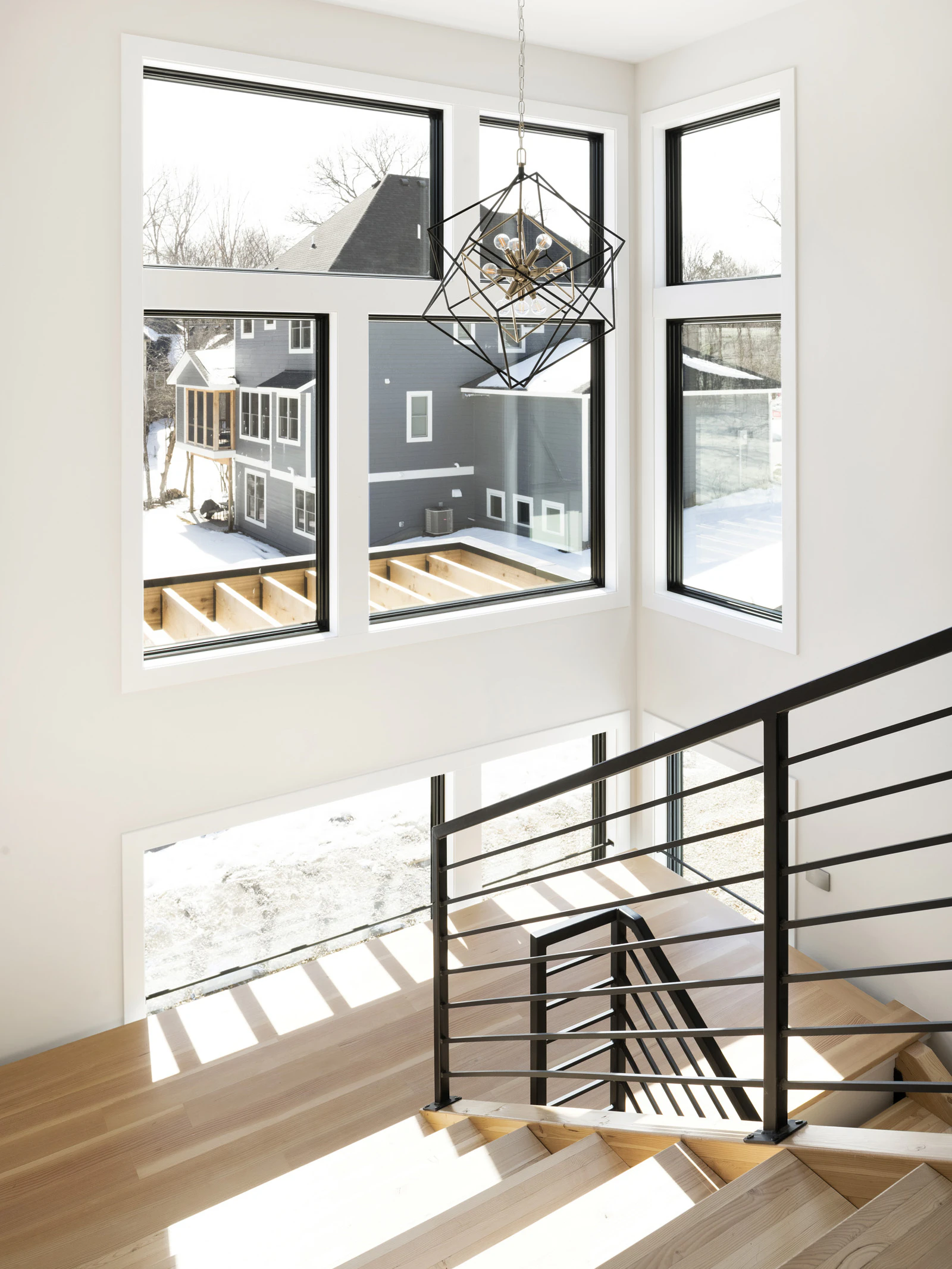 2071 Austrian Pine 034 2