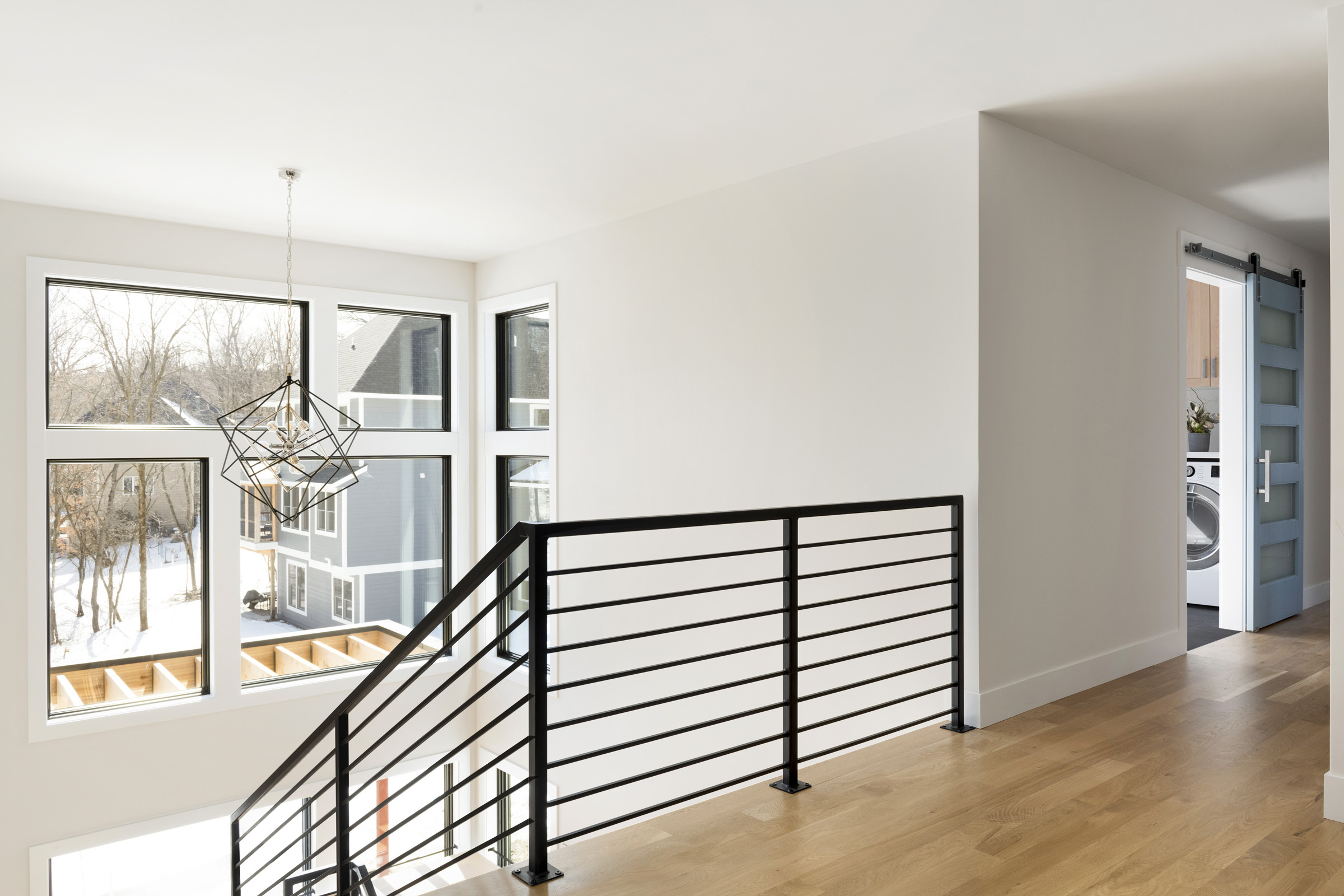 2071 Austrian Pine 036 1