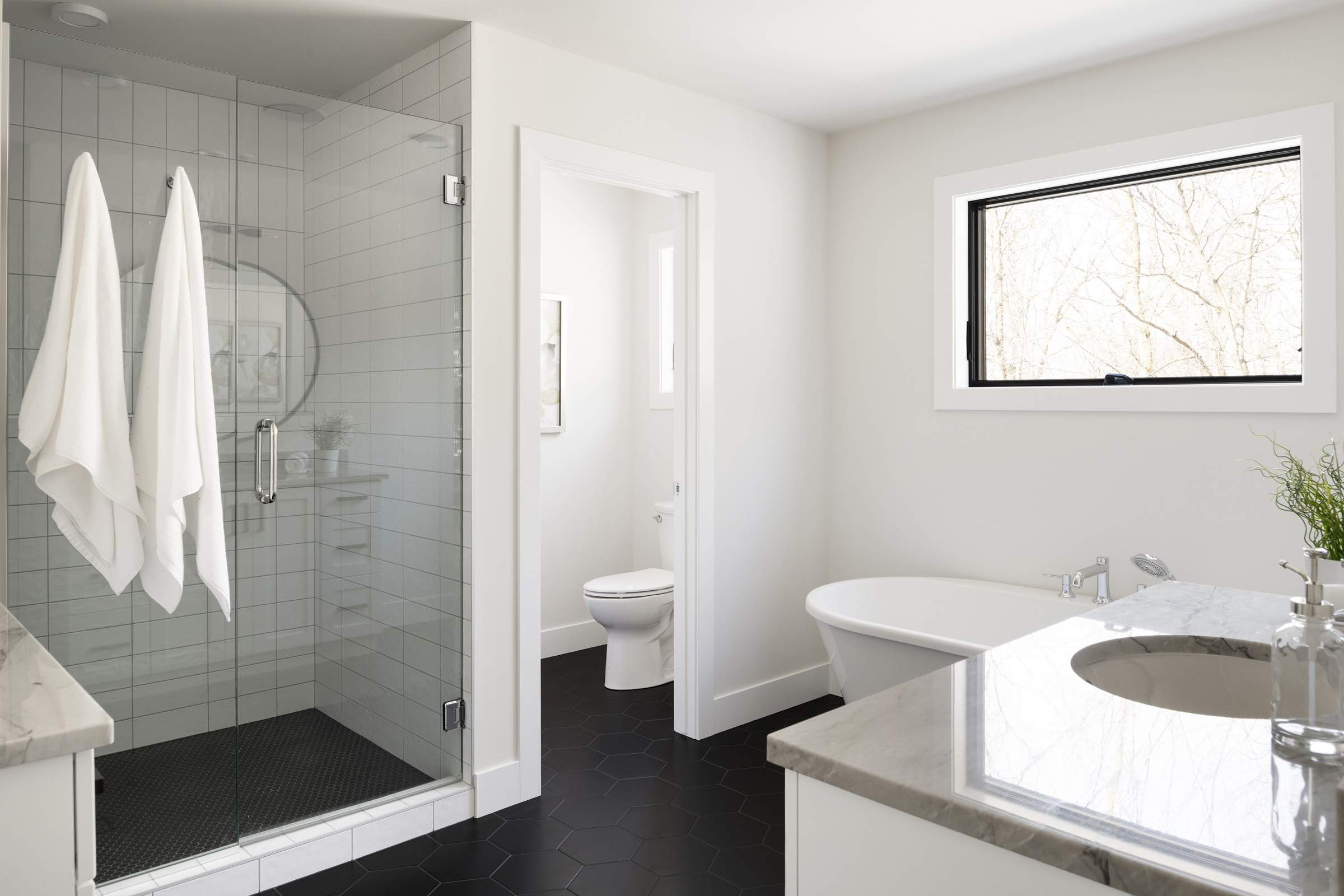 2071 Austrian Pine 044 1