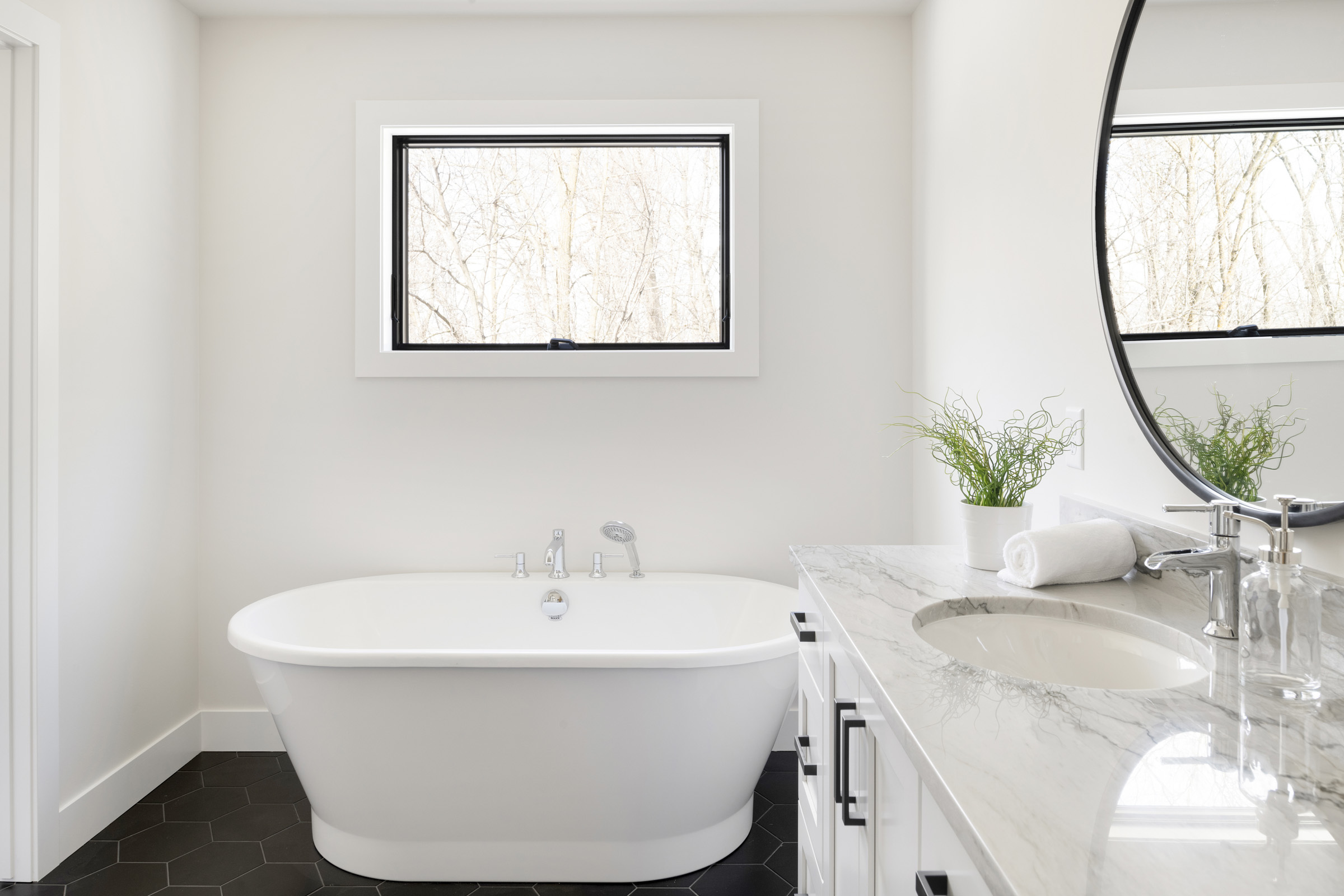 2071 Austrian Pine 045