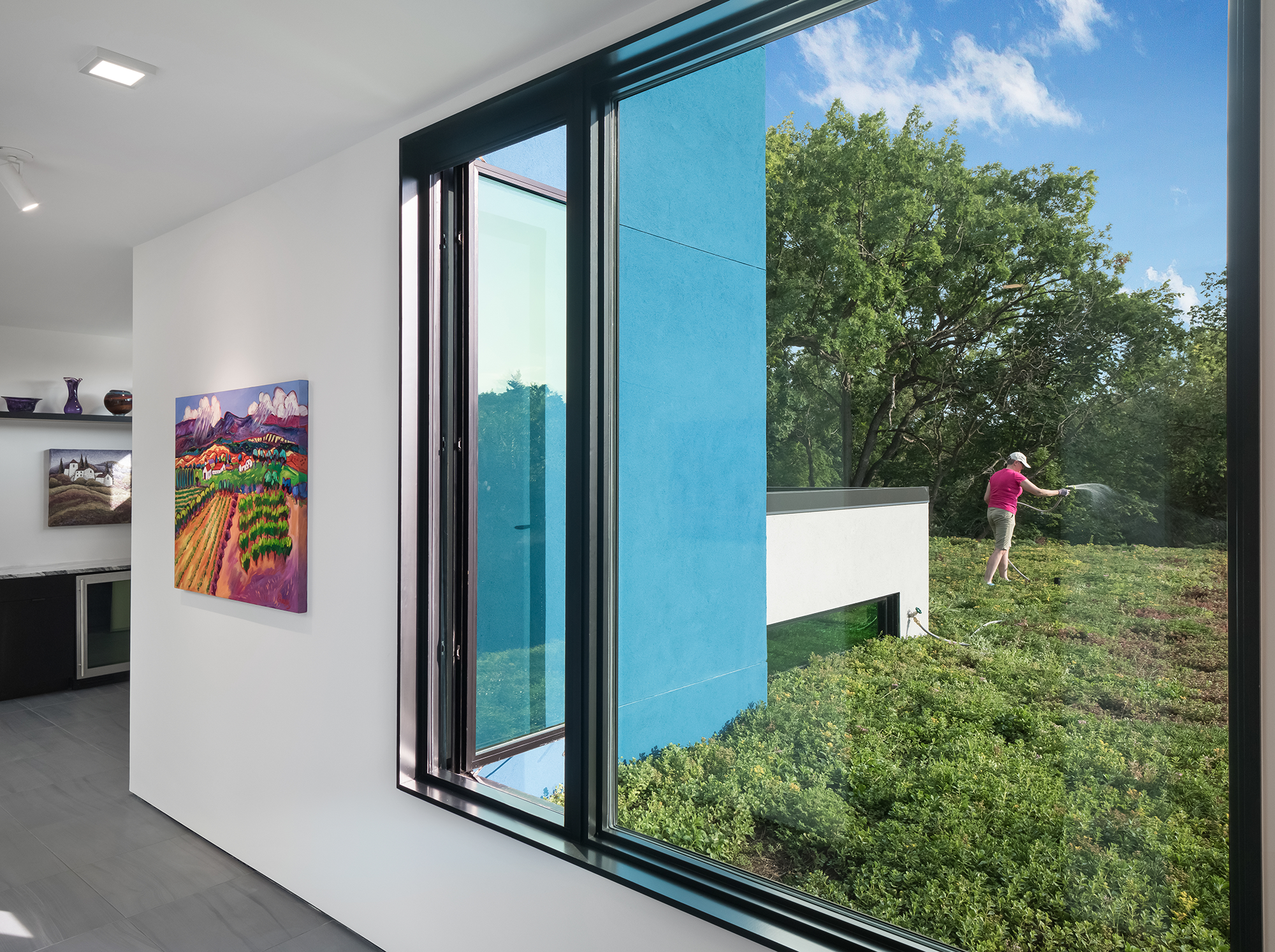 Blackfoot Pass Green roof