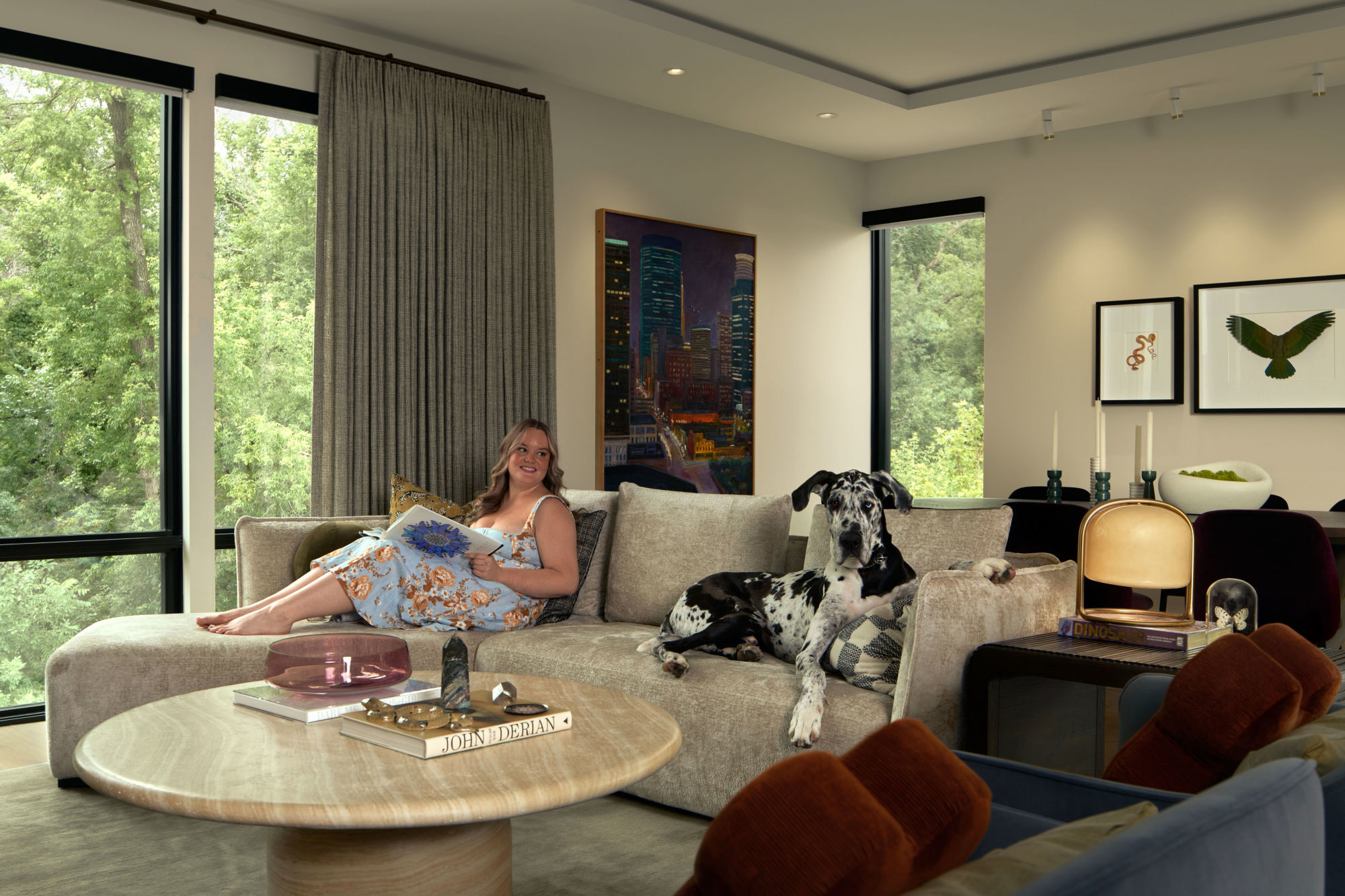 Living room with natural lighting and a great dane and person