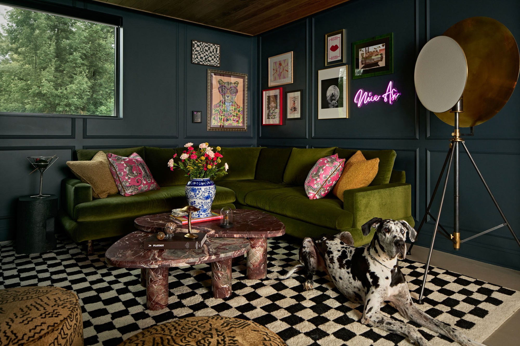 47 Unfold Brooks Round Three Photography Lounge Dog