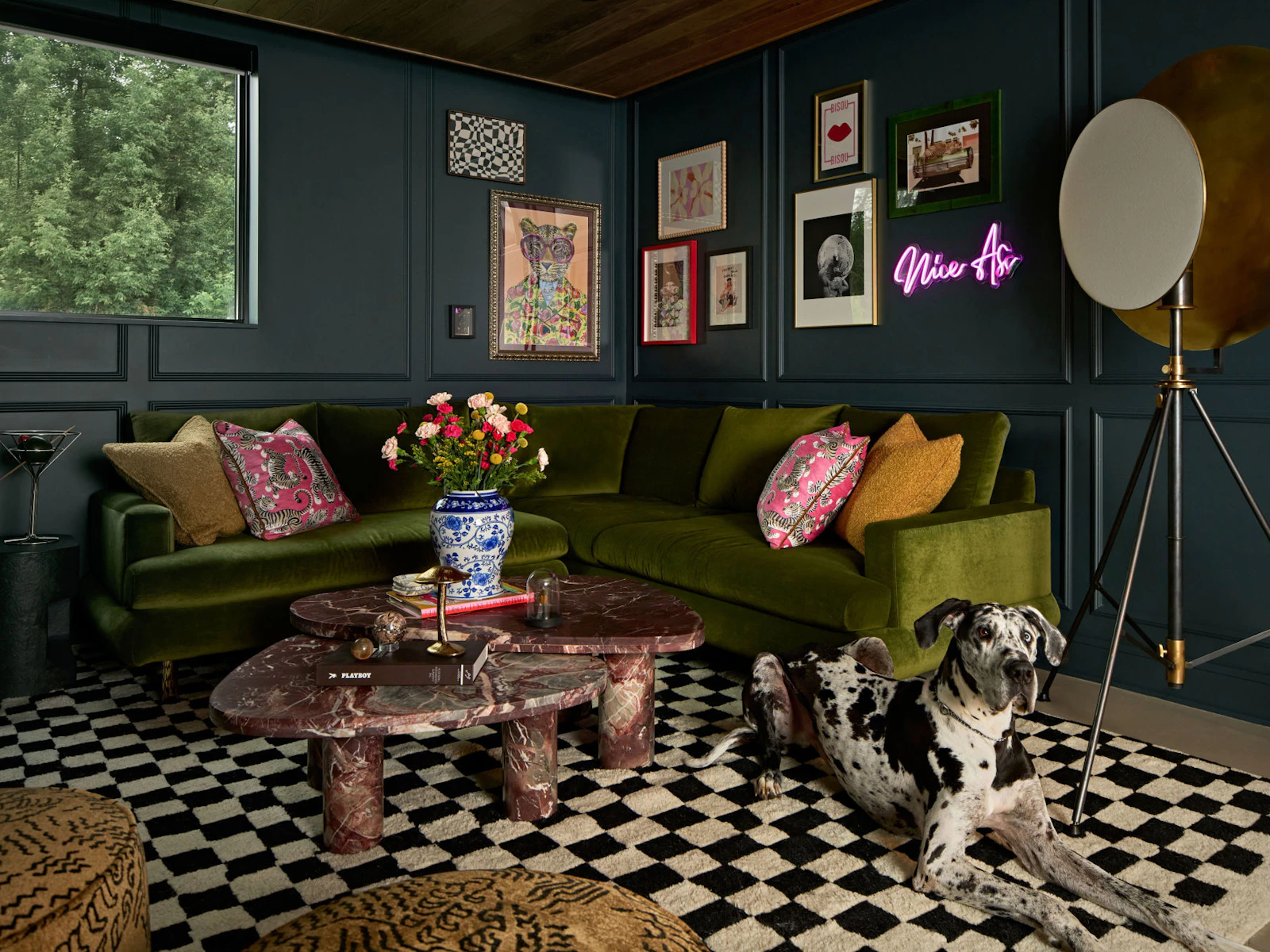 47 Unfold Brooks Round Three Photography Lounge Dog