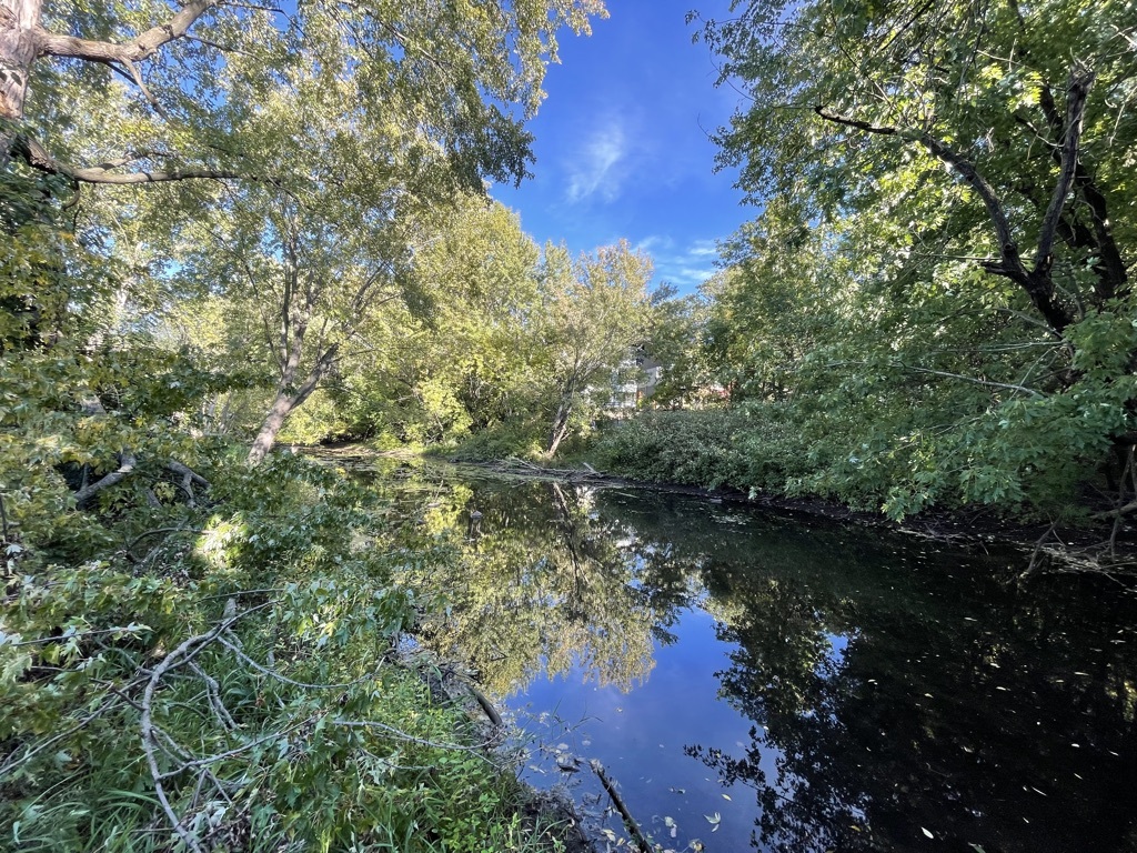 For Sale Creek Knolls Residence, Edina Sustainable9