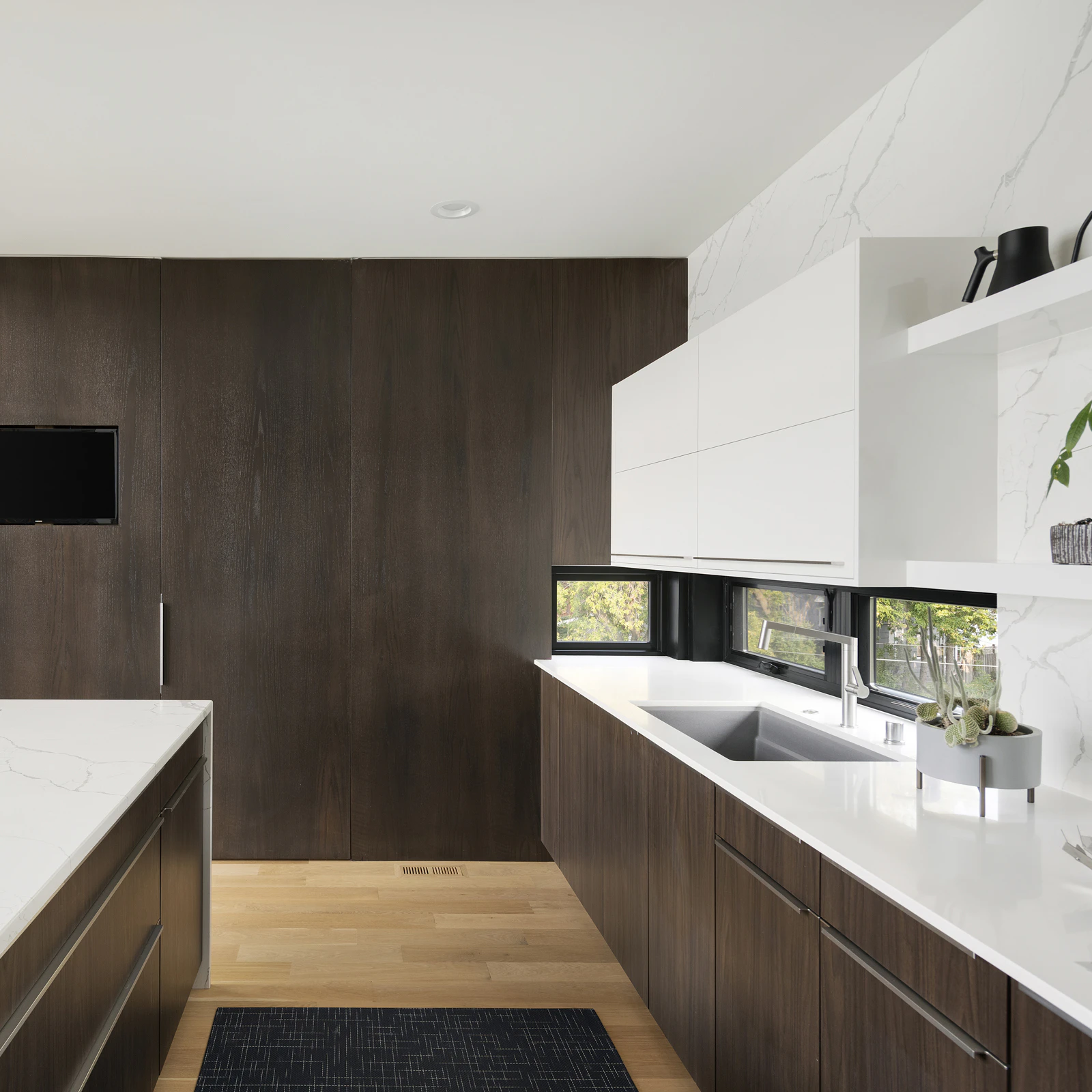 Sleek contemporary kitchen